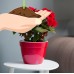 Santino Self Watering Planter Asti 7.1 Inch Red-Pearl/White Flower Pot   564101612